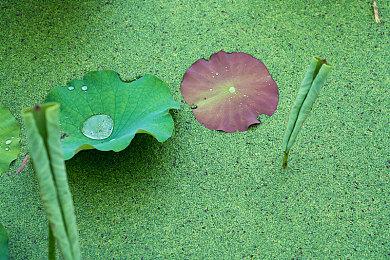 《空洞骑士：丝之歌》将于9月4日晚22点解锁 官宣售价19.99美元